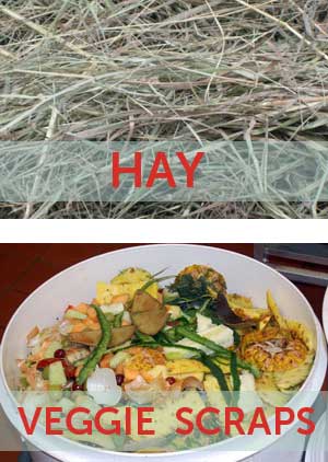 hay