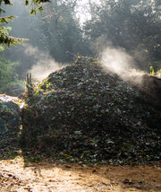 Fast Compost Pile