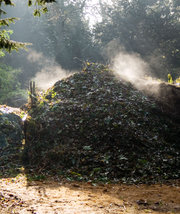 Steaming Compost Pile