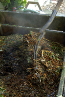 turning compost pile